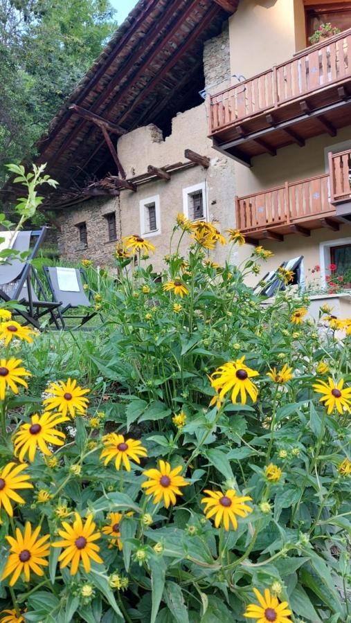 Beb Luca76 Bed and Breakfast Avise Εξωτερικό φωτογραφία